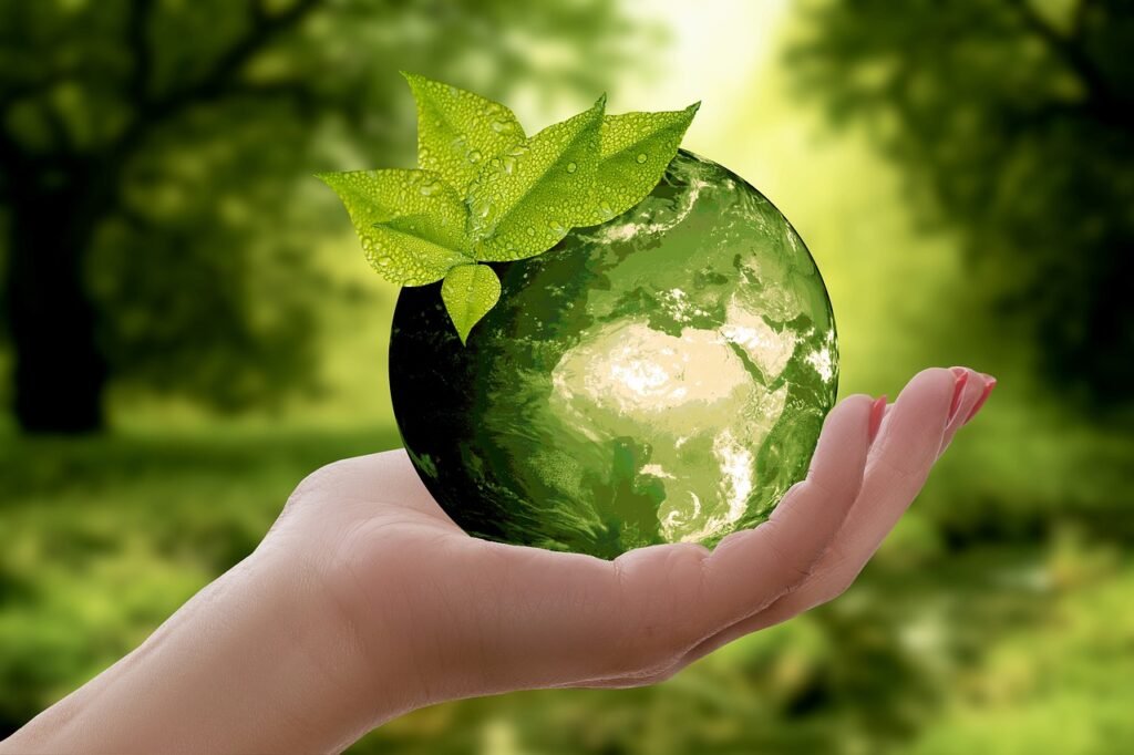Sustainable Cleaning Solutions to Protect the Planet